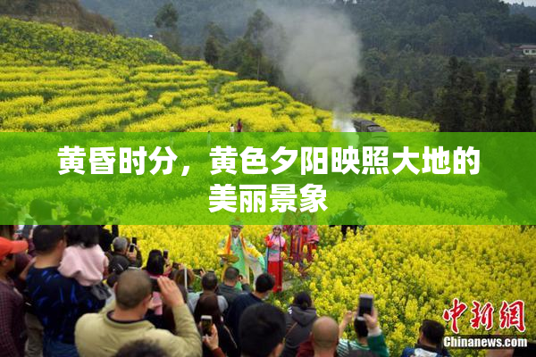 黄昏时分，黄色夕阳映照大地的美丽景象