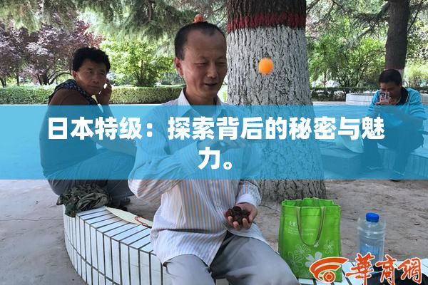 日本特级：探索背后的秘密与魅力。
