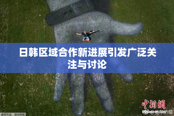 日韩区域合作新进展引发广泛关注与讨论
