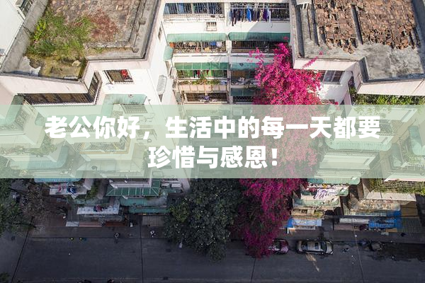 老公你好，生活中的每一天都要珍惜与感恩！