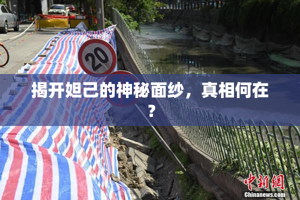 揭开妲己的神秘面纱，真相何在？
