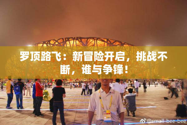 罗顶路飞：新冒险开启，挑战不断，谁与争锋！