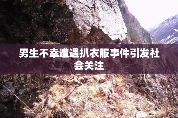 男生不幸遭遇扒衣服事件引发社会关注