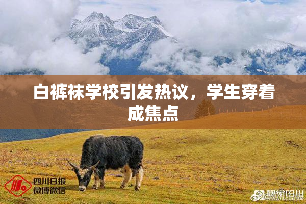 白裤袜学校引发热议，学生穿着成焦点