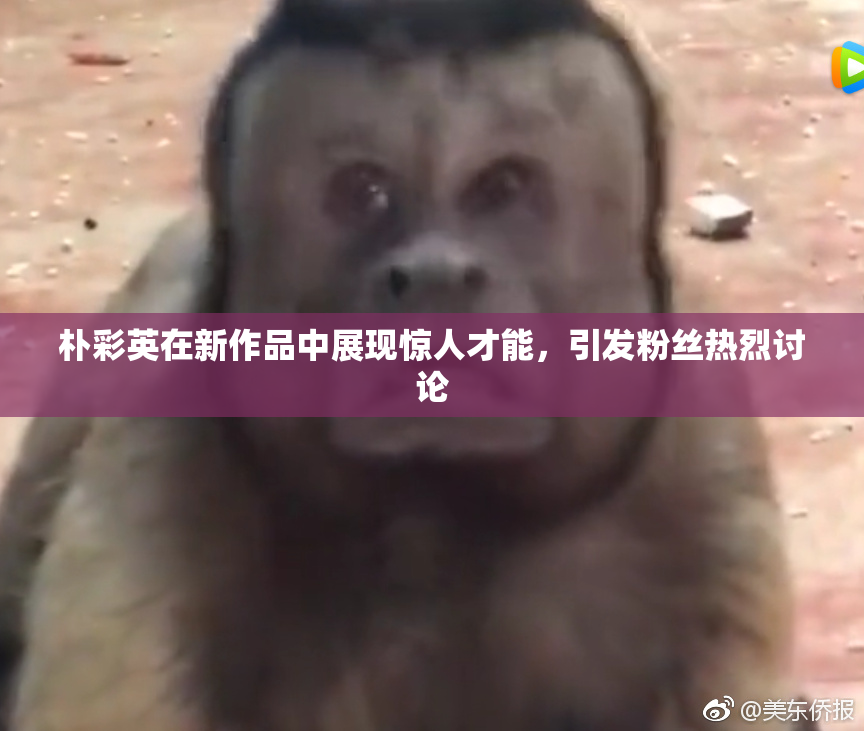 朴彩英在新作品中展现惊人才能，引发粉丝热烈讨论