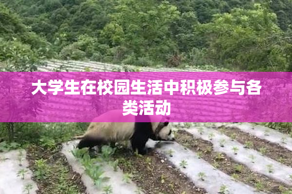 大学生在校园生活中积极参与各类活动