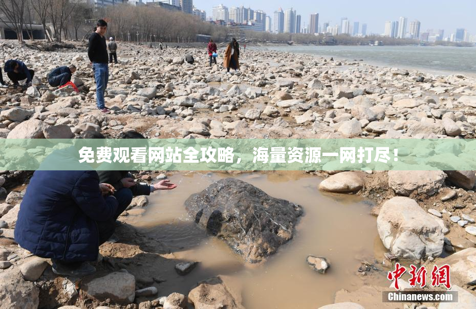 免费观看网站全攻略，海量资源一网打尽！