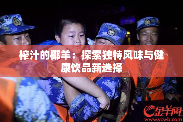 榨汁的椰羊：探索独特风味与健康饮品新选择