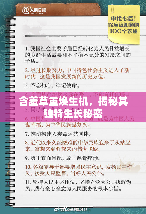 含羞草重焕生机，揭秘其独特生长秘密