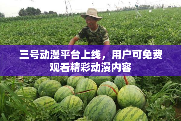 三号动漫平台上线，用户可免费观看精彩动漫内容