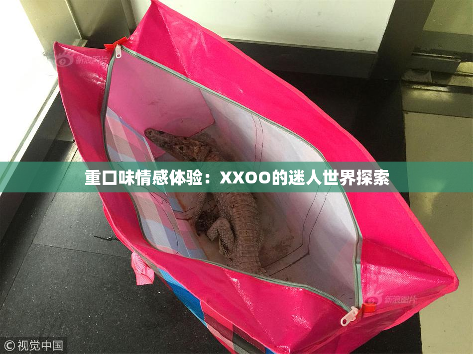 重口味情感体验：XXOO的迷人世界探索