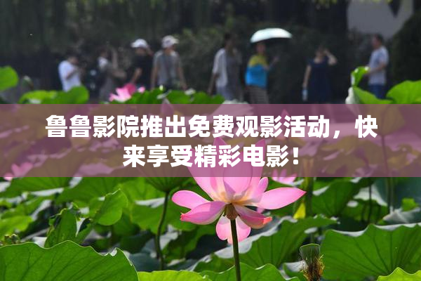 鲁鲁影院推出免费观影活动，快来享受精彩电影！