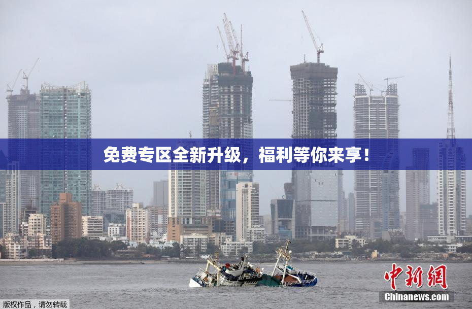 免费专区全新升级，福利等你来享！