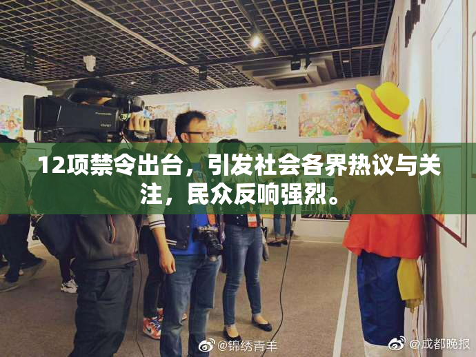 12项禁令出台，引发社会各界热议与关注，民众反响强烈。