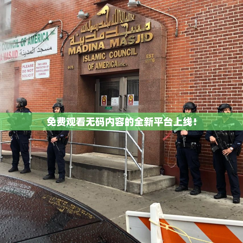 免费观看无码内容的全新平台上线！
