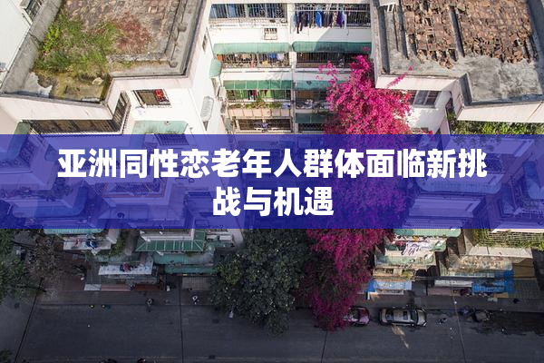 亚洲同性恋老年人群体面临新挑战与机遇