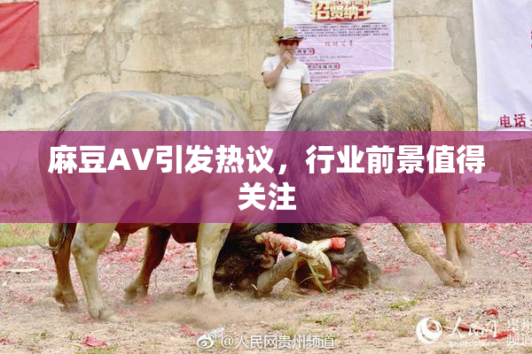 麻豆A∨引发热议，行业前景值得关注