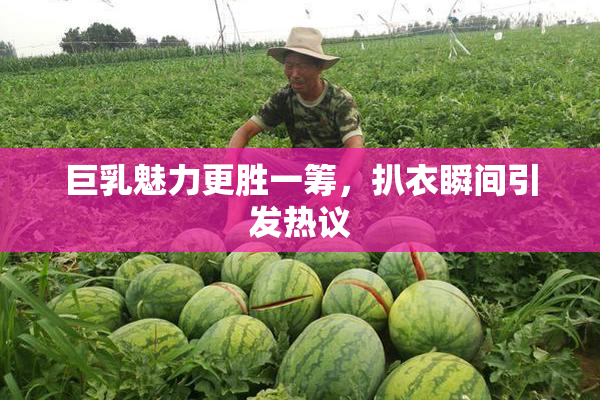 巨乳魅力更胜一筹，扒衣瞬间引发热议