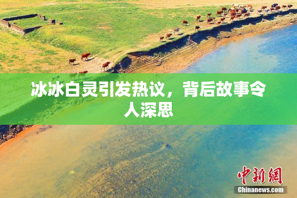 冰冰白灵引发热议，背后故事令人深思