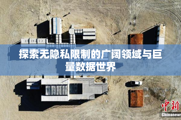 探索无隐私限制的广阔领域与巨量数据世界