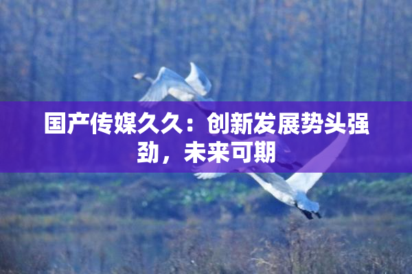 国产传媒久久：创新发展势头强劲，未来可期