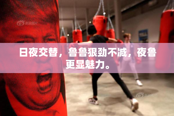 日夜交替，鲁鲁狠劲不减，夜鲁更显魅力。