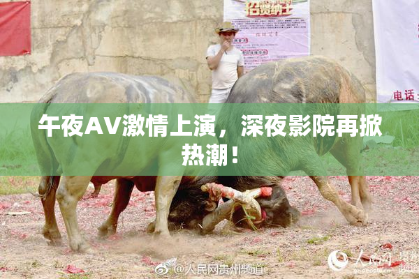 午夜AV激情上演，深夜影院再掀热潮！