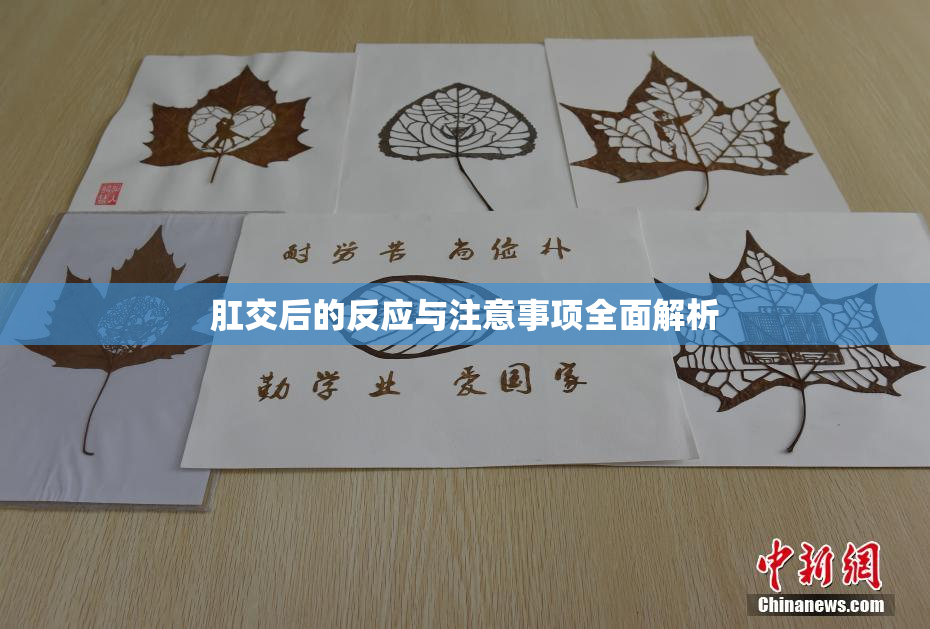 肛交后的反应与注意事项全面解析