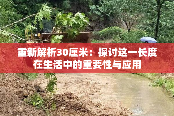 重新解析30厘米：探讨这一长度在生活中的重要性与应用
