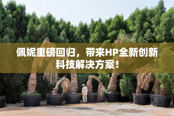 佩妮重磅回归，带来HP全新创新科技解决方案！