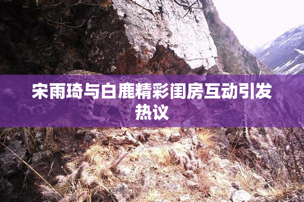 宋雨琦与白鹿精彩闺房互动引发热议