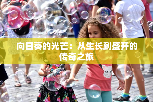 向日葵的光芒：从生长到盛开的传奇之旅