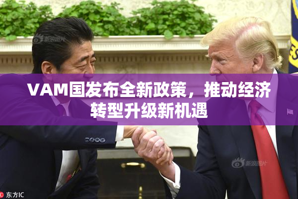 VAM国发布全新政策，推动经济转型升级新机遇