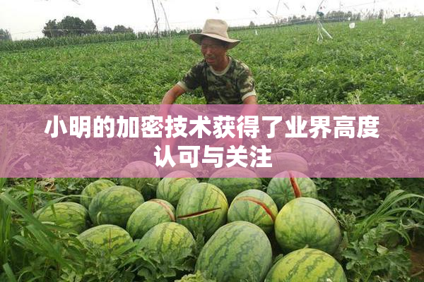 小明的加密技术获得了业界高度认可与关注