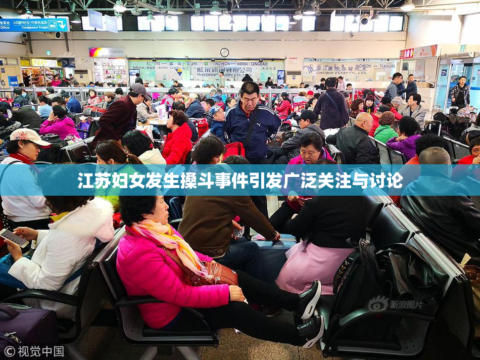 江苏妇女发生搡斗事件引发广泛关注与讨论