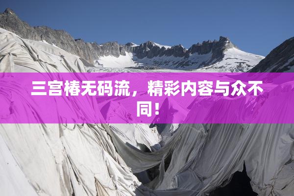 三宫椿无码流，精彩内容与众不同！