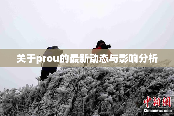 关于prou的最新动态与影响分析