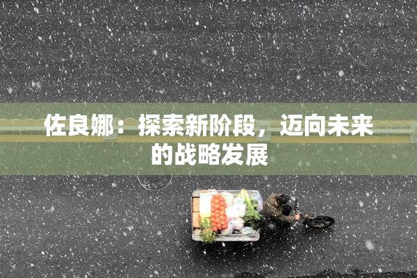 佐良娜：探索新阶段，迈向未来的战略发展