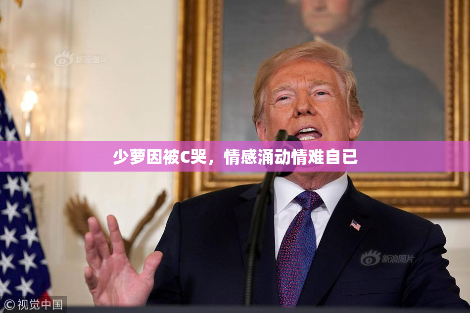少萝因被C哭，情感涌动情难自已
