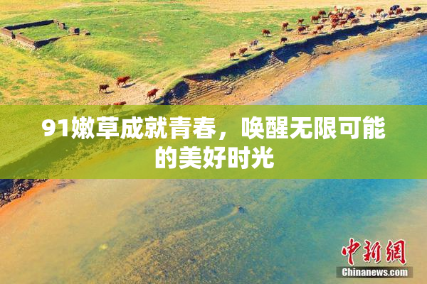 91嫩草成就青春，唤醒无限可能的美好时光