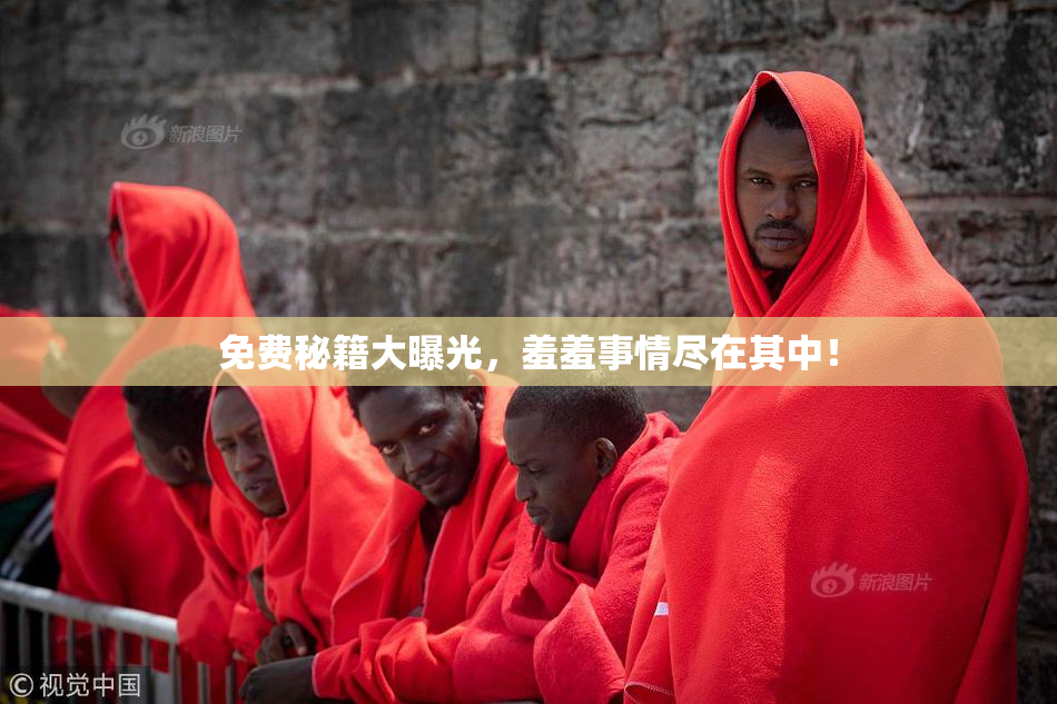 免费秘籍大曝光，羞羞事情尽在其中！