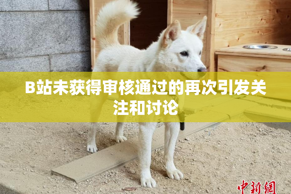 B站未获得审核通过的再次引发关注和讨论