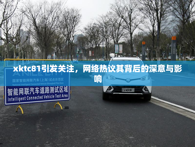 xktc81引发关注，网络热议其背后的深意与影响