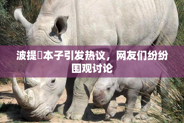 波提歐本子引发热议，网友们纷纷围观讨论