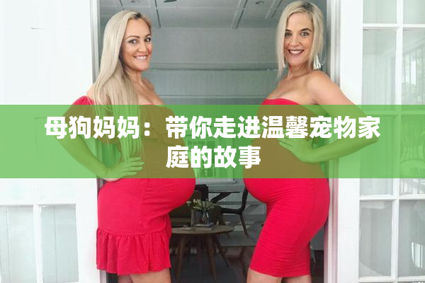 母狗妈妈：带你走进温馨宠物家庭的故事