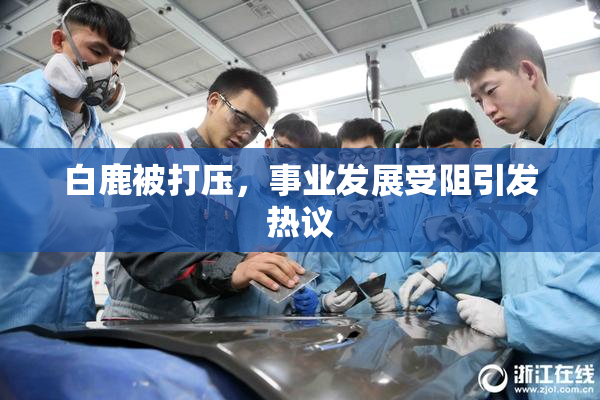 白鹿被打压，事业发展受阻引发热议