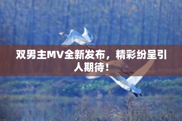 双男主MV全新发布，精彩纷呈引人期待！
