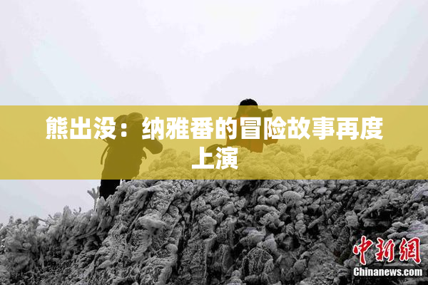 熊出没：纳雅番的冒险故事再度上演