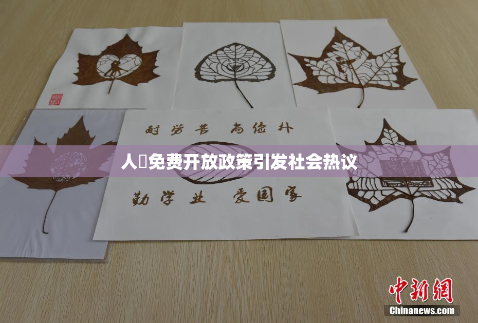 人婬免费开放政策引发社会热议