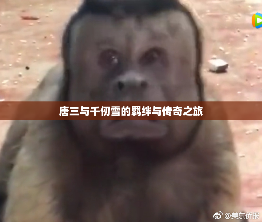 唐三与千仞雪的羁绊与传奇之旅